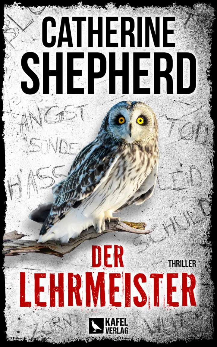 Der Lehrmeister cover KINDLE